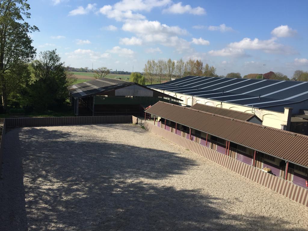 Haras Des Chartreux Hotel Estaimbourg Buitenkant foto