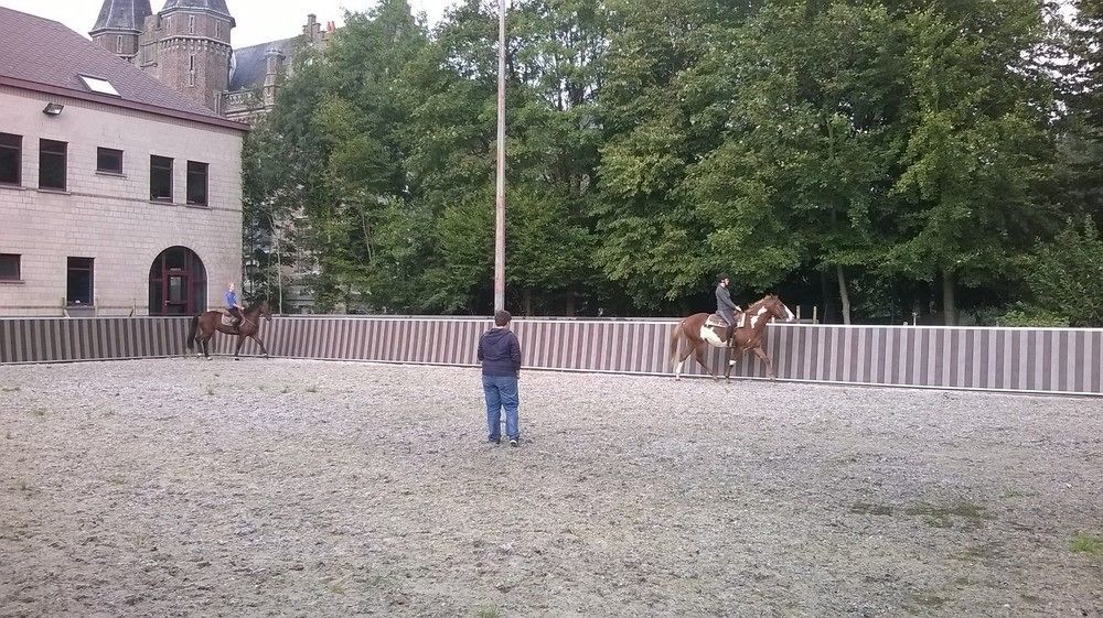 Haras Des Chartreux Hotel Estaimbourg Buitenkant foto